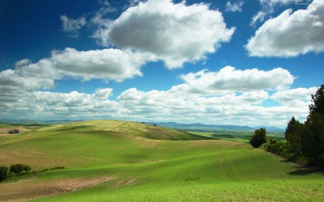 Green pasture and blue sky
